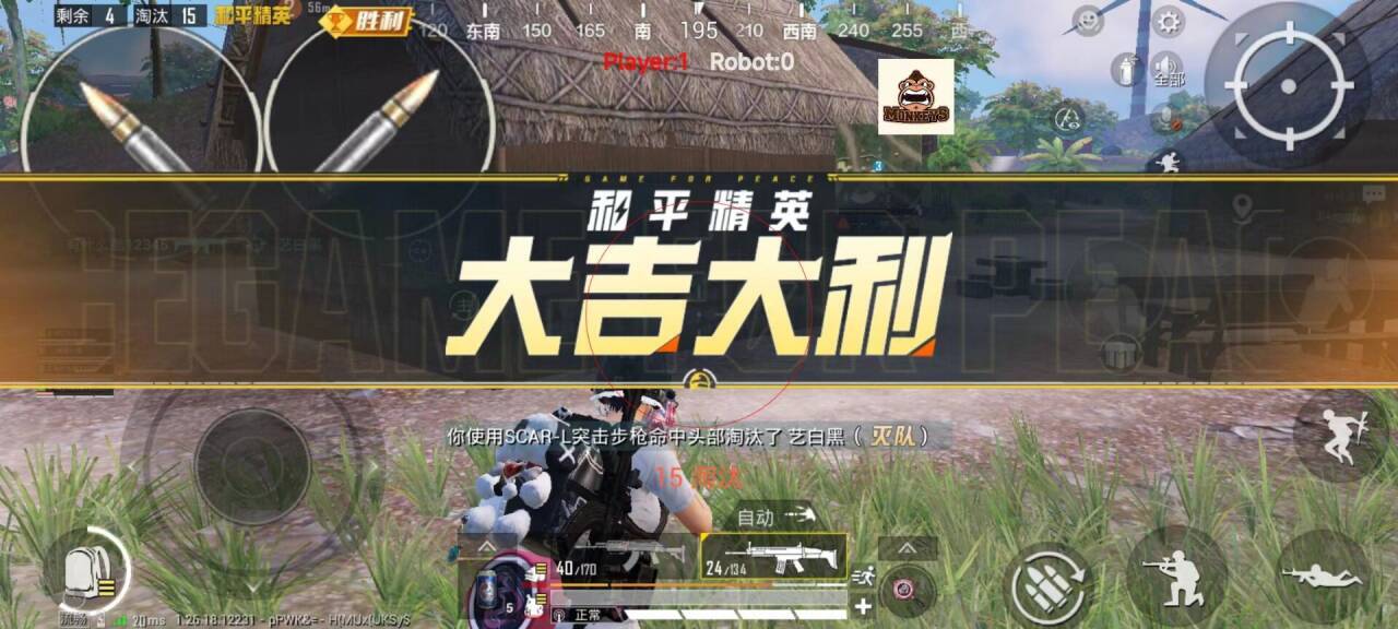 和平精英文件包免费文件 - 辅助配置全解锁